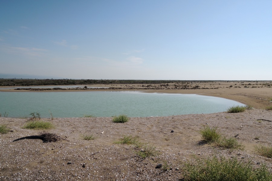 Göksu Delta