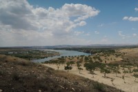 Pistachio orchards by the Euphrates River near Birecik