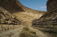 Main wadi near Birecik