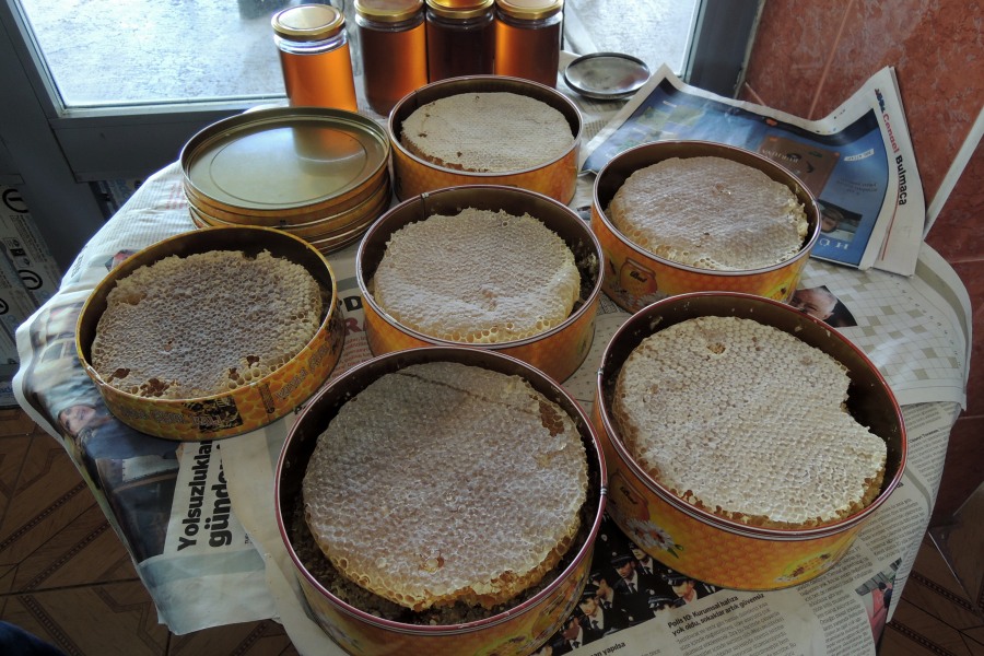 Honey